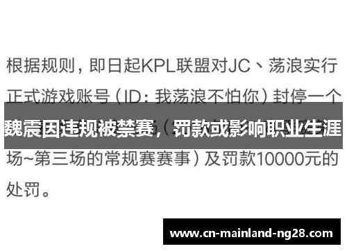 魏震因违规被禁赛,罚款或影响职业生涯 魏震因违规被禁赛,罚款或影响职业生涯