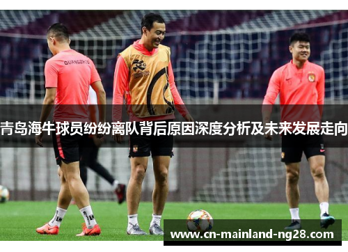青岛海牛球员纷纷离队背后原因深度分析及未来发展走向