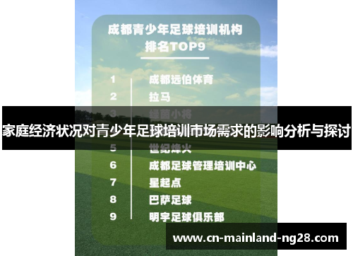家庭经济状况对青少年足球培训市场需求的影响分析与探讨 家庭经济状况对青少年足球培训市场需求的影响分析与探讨