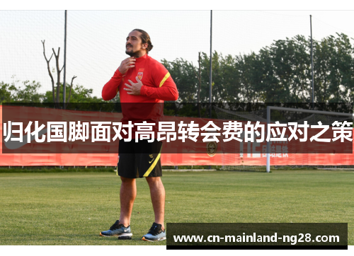 归化国脚面对高昂转会费的应对之策 归化国脚面对高昂转会费的应对之策