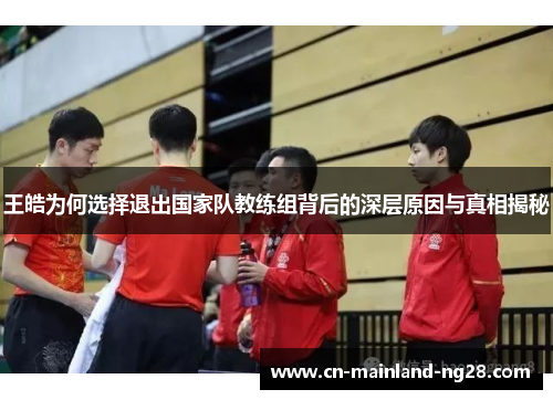 王皓为何选择退出国家队教练组背后的深层原因与真相揭秘