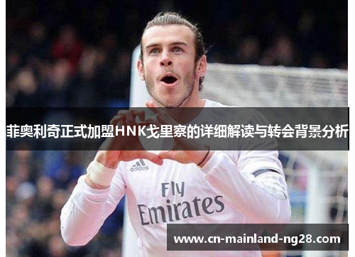 菲奥利奇正式加盟HNK戈里察的详细解读与转会背景分析